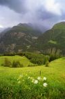 V Alpch (Rakousko)